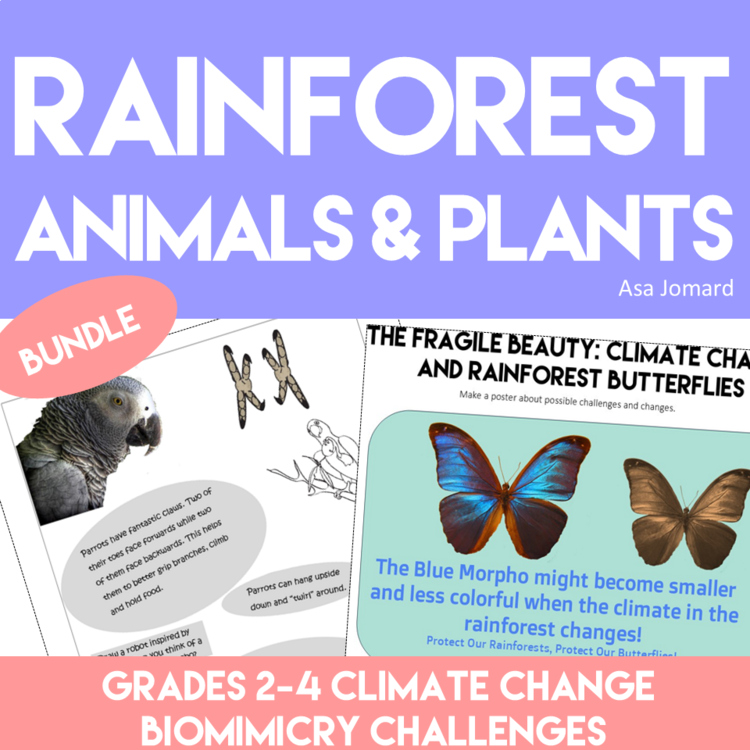 Unique and Inspiring Rainforest Animal and Plants Activities Bundle