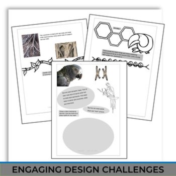 Unique and Inspiring Rainforest Animal and Plants Activities Bundle, image 4