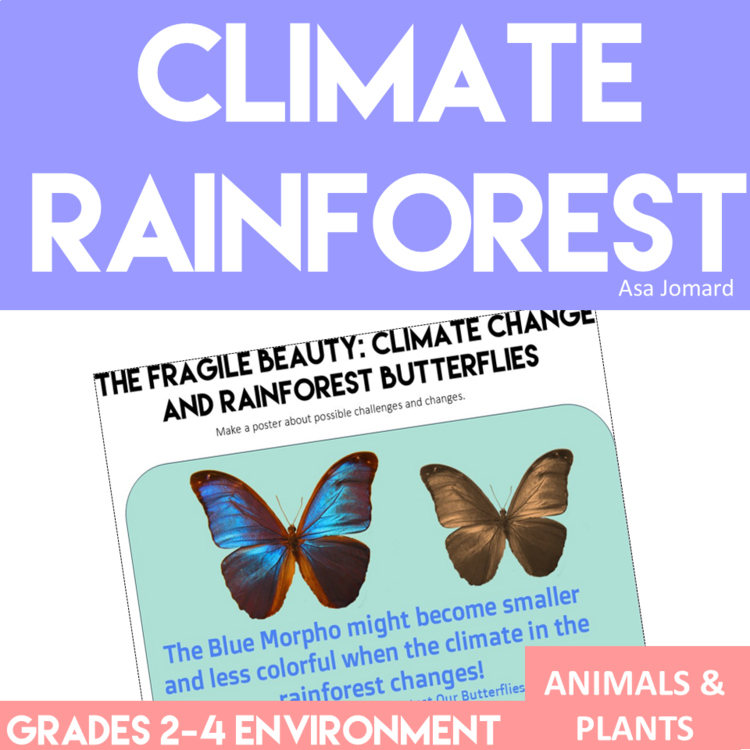 Unique Rainforest Activities | Climate and Environment | Creative Science