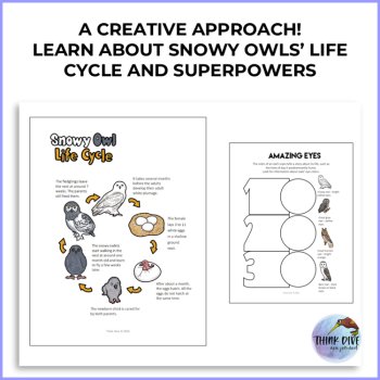 Explore Snowy Owl Life Cycle Activities | Biomimicry Design Adventure, image 2