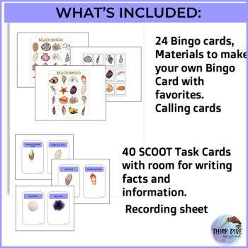 Educational Summer Fun Bundle | Seashells Sea Creatures Bingo Biomimicry, image 4