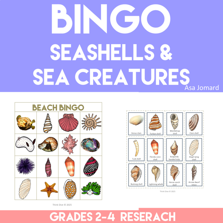 Inspiring Summer Beach Bingo | Learn about Seashells and Sea Creatures