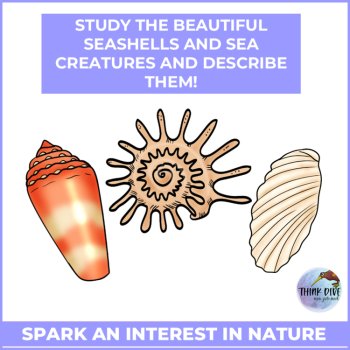 Inspiring Summer Beach Bingo | Learn about Seashells and Sea Creatures, image 4