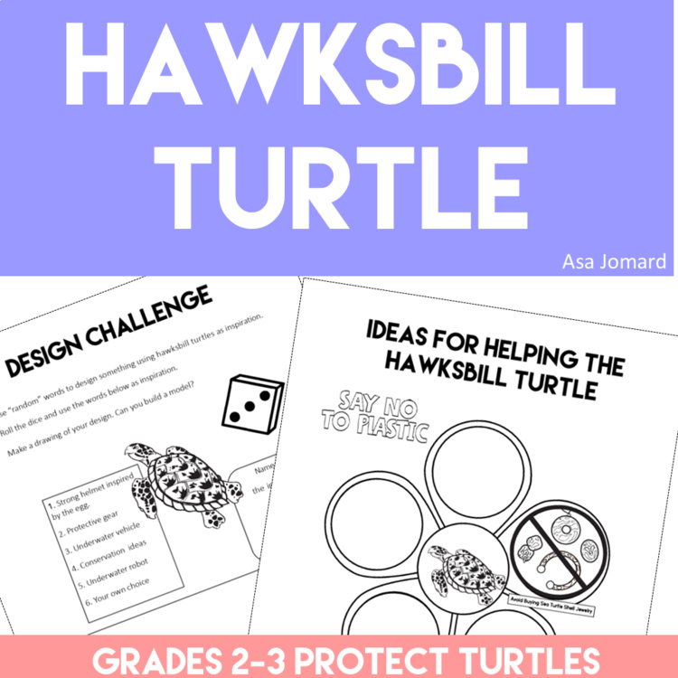 Explore Hawksbill Turtles | Protect Sea Turtles and Biomimicry Challenge