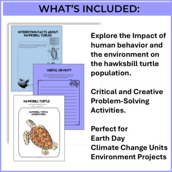 Explore Hawksbill Turtles | Protect Sea Turtles and Biomimicry Challenge, image 3