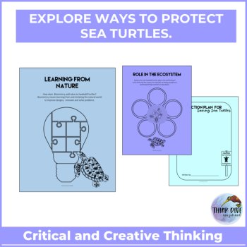 Explore Hawksbill Turtles | Protect Sea Turtles and Biomimicry Challenge, image 4