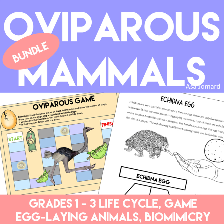 Unique Oviparous Australian Mammals with Games | Biomimicry Adventures