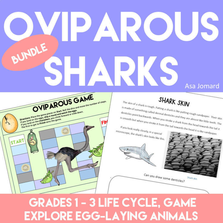 Engaging and Fun Oviparous Activities | Life Cycle Sharks and Biomimicry