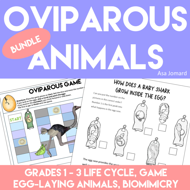 Inspiring Oviparous Bundle with Games