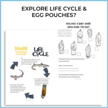 Inspiring Oviparous Bundle with Games, image 3