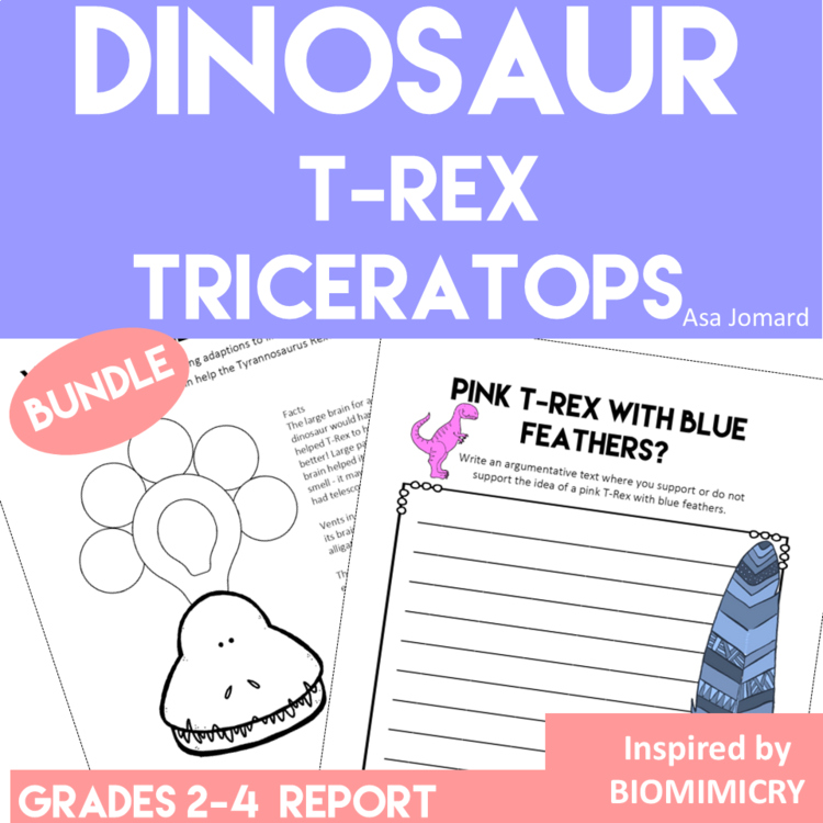 Explore Dinosaurs Bundle | T-Rex and Triceratops Activities