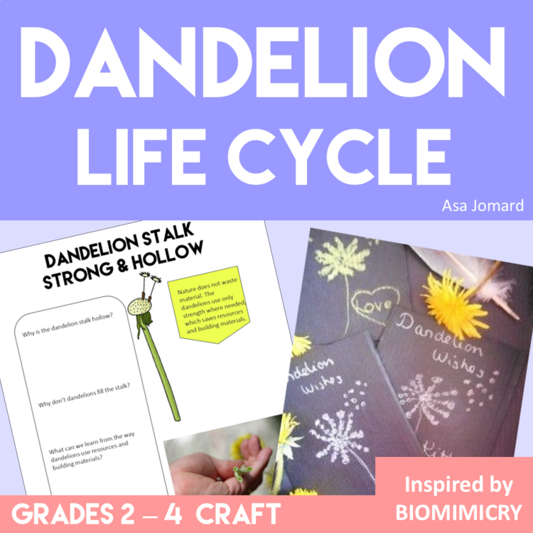 Dandelion Life Cycle Biomimicry Project | Nature-Inspired Design Activities