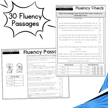 Phonics Morphology Comic Worksheets Fun Summer Reading Packet UFLI 3rd 4th Grade, image 3