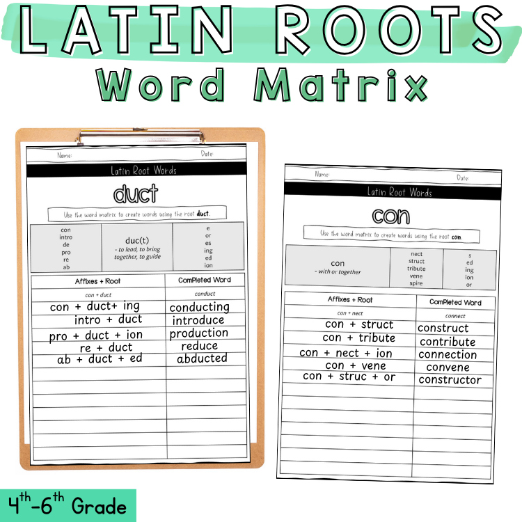 Latin Root Word Visual Matrix Graphic Organizer Assessment 5th 6th Grade Centers