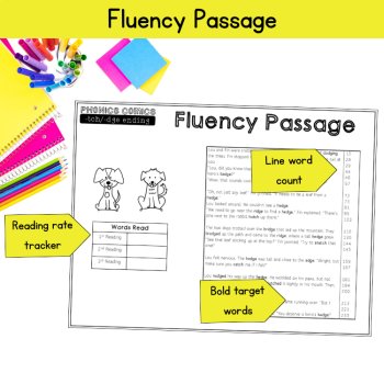 Trigraph tch & dge Decodable Fluency Phonics Comic & Worksheets 3rd 4th Grade, image 3