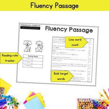 Open & Closed Syllables Decodable Reading Passage & Worksheets Word List 3rd 4th, image 3