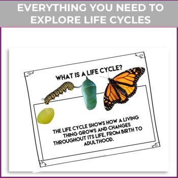 Engaging  Life Cycle Science Journal Prompts | Write Creative Nonfiction Stories, image 2