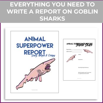 Unique Goblin Shark Activities | Write an Inspiring  Superpower Report, image 2