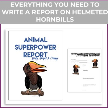 Engaging Helmeted Hornbill Activities | Write an Inspiring  Superpower Report, image 2