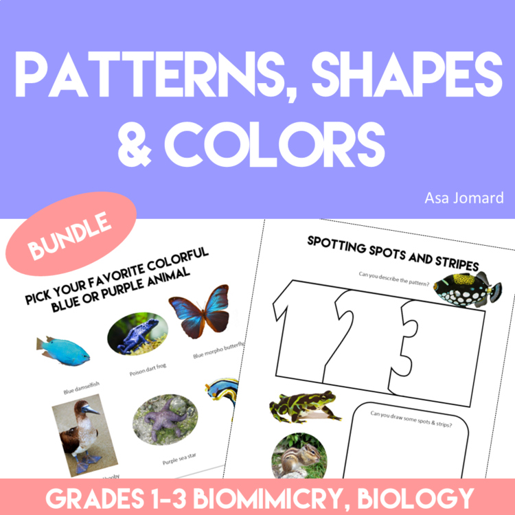 Engaging STEAM Activities Bundle | Explore Nature Focus on Patterns and Colors