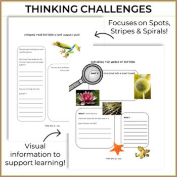 Engaging STEAM Activities Bundle | Explore Nature Focus on Patterns and Colors, image 4