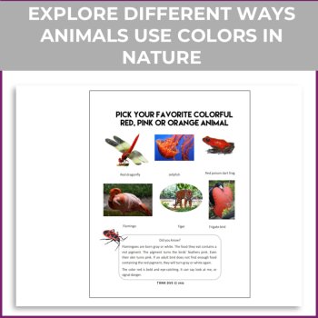 Unique  Colors in Nature Activities | Inspiring Learning about Nature, image 2