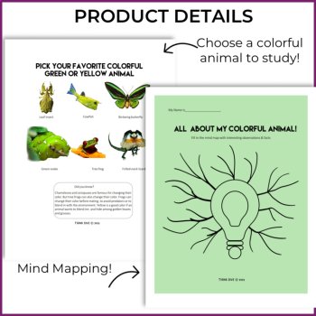 Unique  Colors in Nature Activities | Inspiring Learning about Nature, image 3