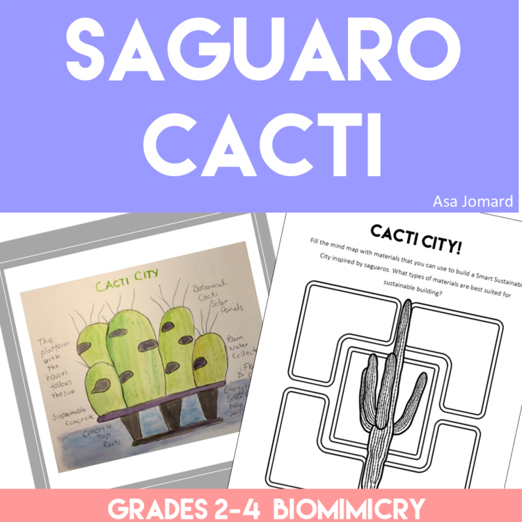 Exciting and Unique Biomimicry STEAM Project | Design Saguaro Cacti City