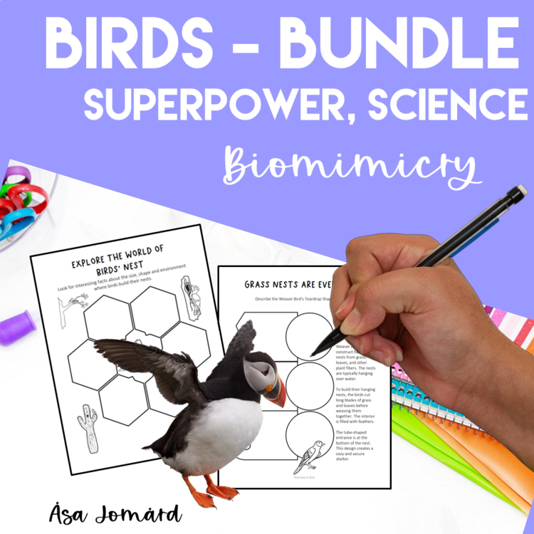 Engaging & Fun STEAM Bird Bundle | Creative Biomimicry Design Activities