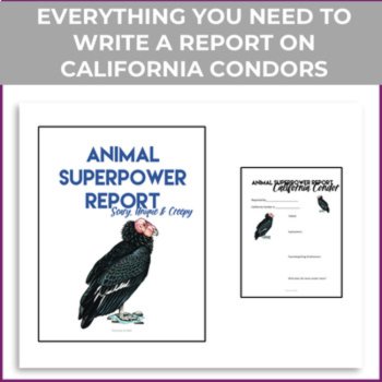 Engaging & Fun STEAM Bird Bundle | Creative Biomimicry Design Activities, image 2