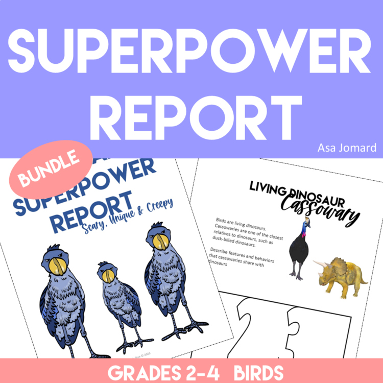 Engaging Bird Superpower Bundle |  | Design Inspired Activities
