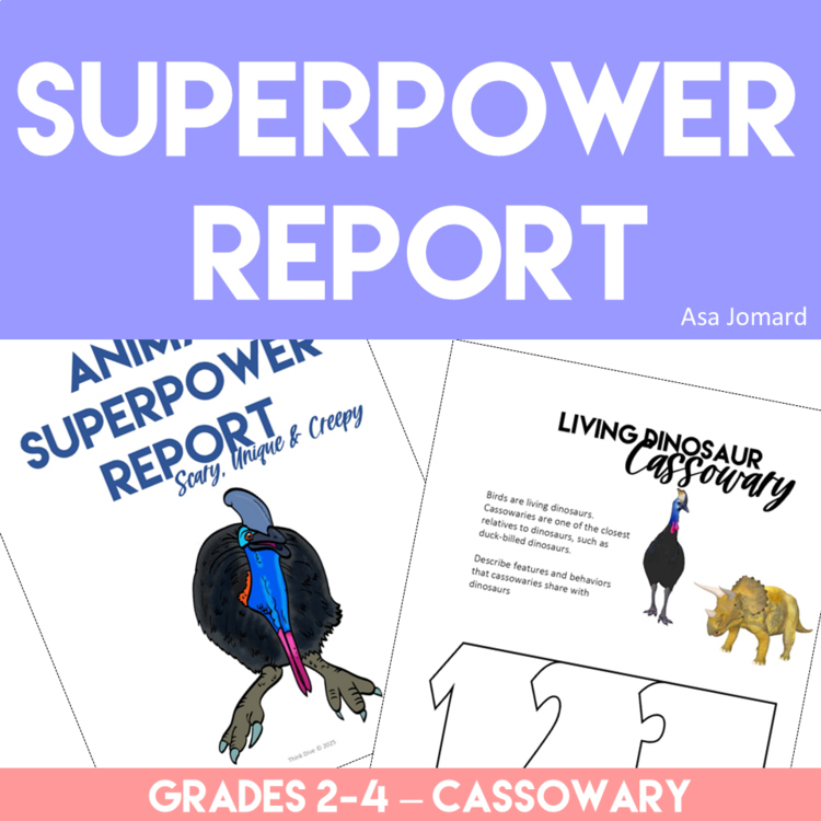 Unique Cassowary Activities | Write an Inspiring Superpower Report
