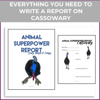 Unique Cassowary Activities | Write an Inspiring Superpower Report, image 2