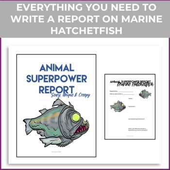 Inspiring Marine Hatchetfish Activites | Write Superpower Report, image 2