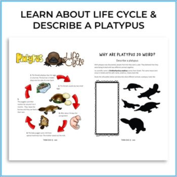 Inspiring Australia Bundle | Unique Platypus Life Cycle Activities & Biomimicry, image 3