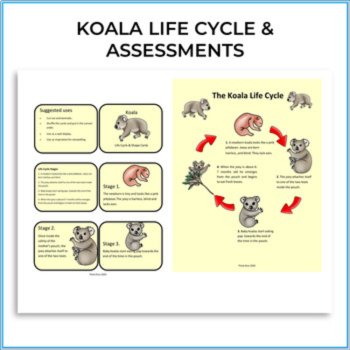 Engaging Australia Bundle | Inspiring Koala Life Cycle Activities & Biomimicry, image 2
