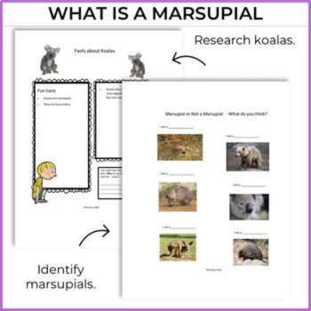 Engaging Australia Bundle | Inspiring Koala Life Cycle Activities & Biomimicry, image 3