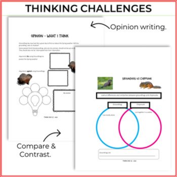 Unique Groundhog Day Bundle | Life Cycle, Math and Writing Activities, image 4