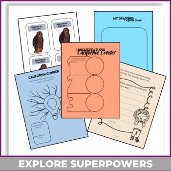 Engaging California Condor Superpower Report | Design Inspired Activities, image 4