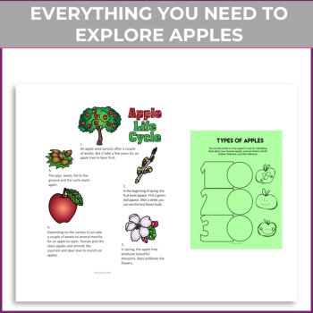 Inspiring Apple Life Cycle Activities | Engaging Design a Board Game Project, image 2