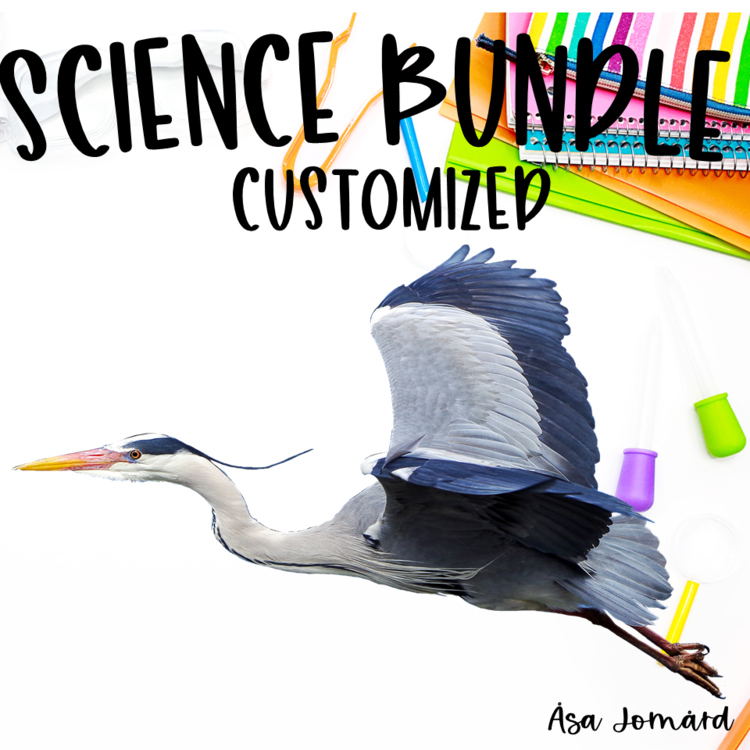 Customized Science Activity Bundle