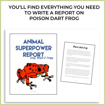 Engaging Frog Activities Bundle | Explore Adaptations, Life Cycle & Biomimicry, image 2
