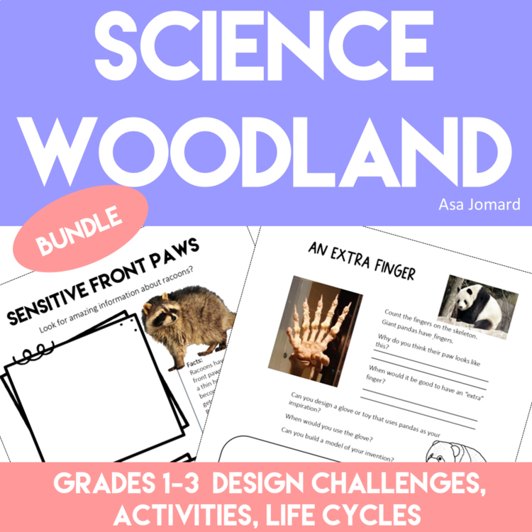 Inspiring STEAM Activities Bundle | Unique Woodland Biomimicry Projects