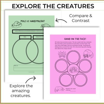 Inspiring Science Activities | Engaging Biomimicry Adventures, image 3