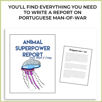 Inspiring Animal Superpower Report Bundle | Engaging Biomimicry Design Thinking, image 2