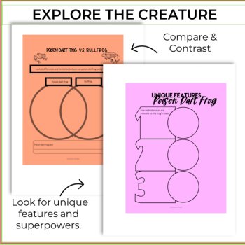 Inspiring Poison Dart Frog Superpower Report | Engaging Biomimicry Adventure, image 3