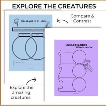 Engaging  Portuguese Man-of-War Superpower Report | Design Inspired Activities, image 3