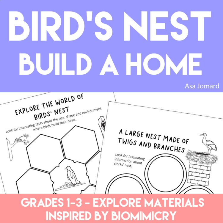 Engaging Bird's Nest Activities | Inspiring Biomimicry Design Projects