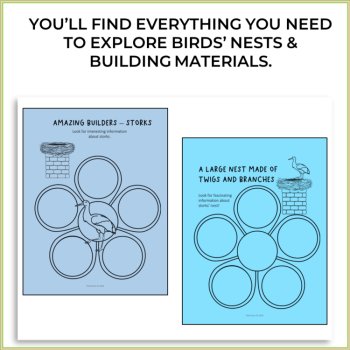 Engaging Bird's Nest Activities | Inspiring Biomimicry Design Projects, image 2