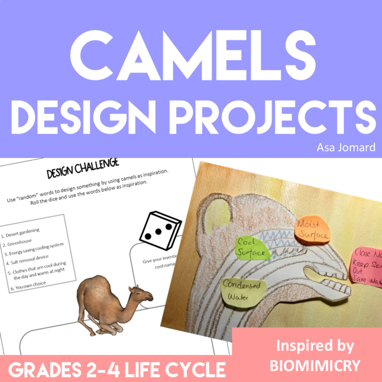 Inspiring STEAM Camel Activities | Life Cycle | Unique Biomimicry Adventures